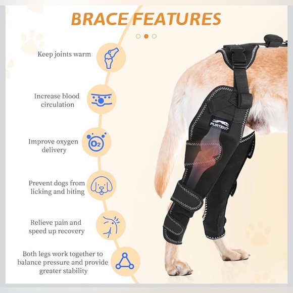 Dog Knee Brace for Torn Acl Hind Legs - Provides Joint Protection XL - Picture 5 of 14